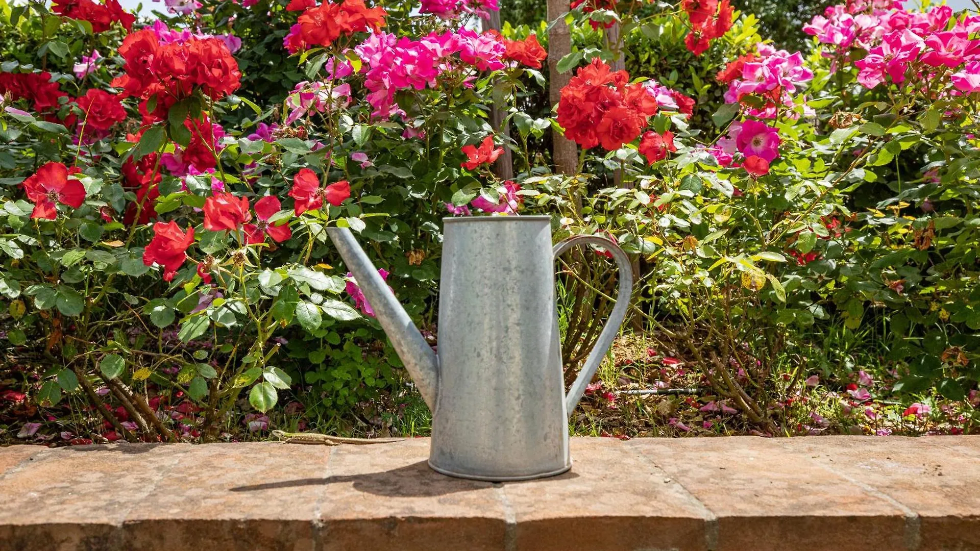 La Casa Toscane Capannori Holiday home
